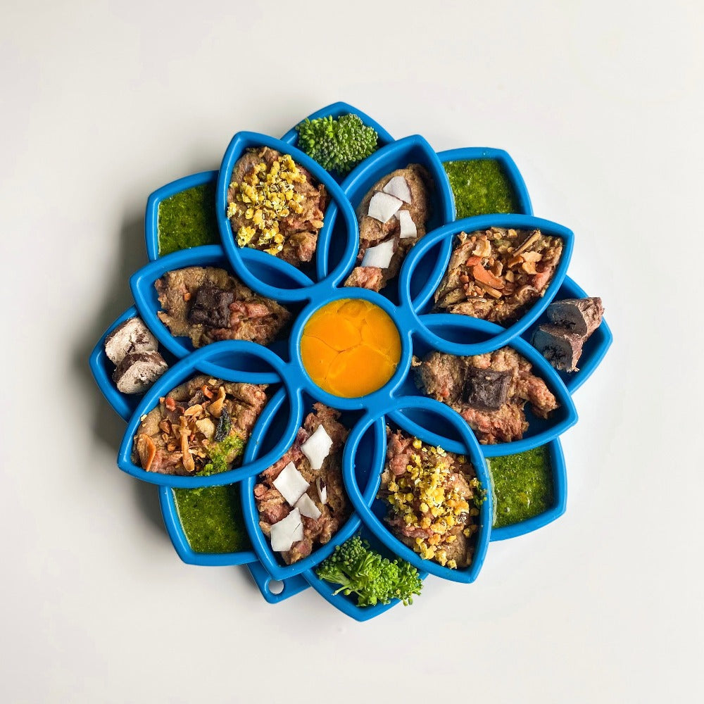 Blue SodaPup Mandala eTray from above with wet food, greens, and a pumpkin puree in the center