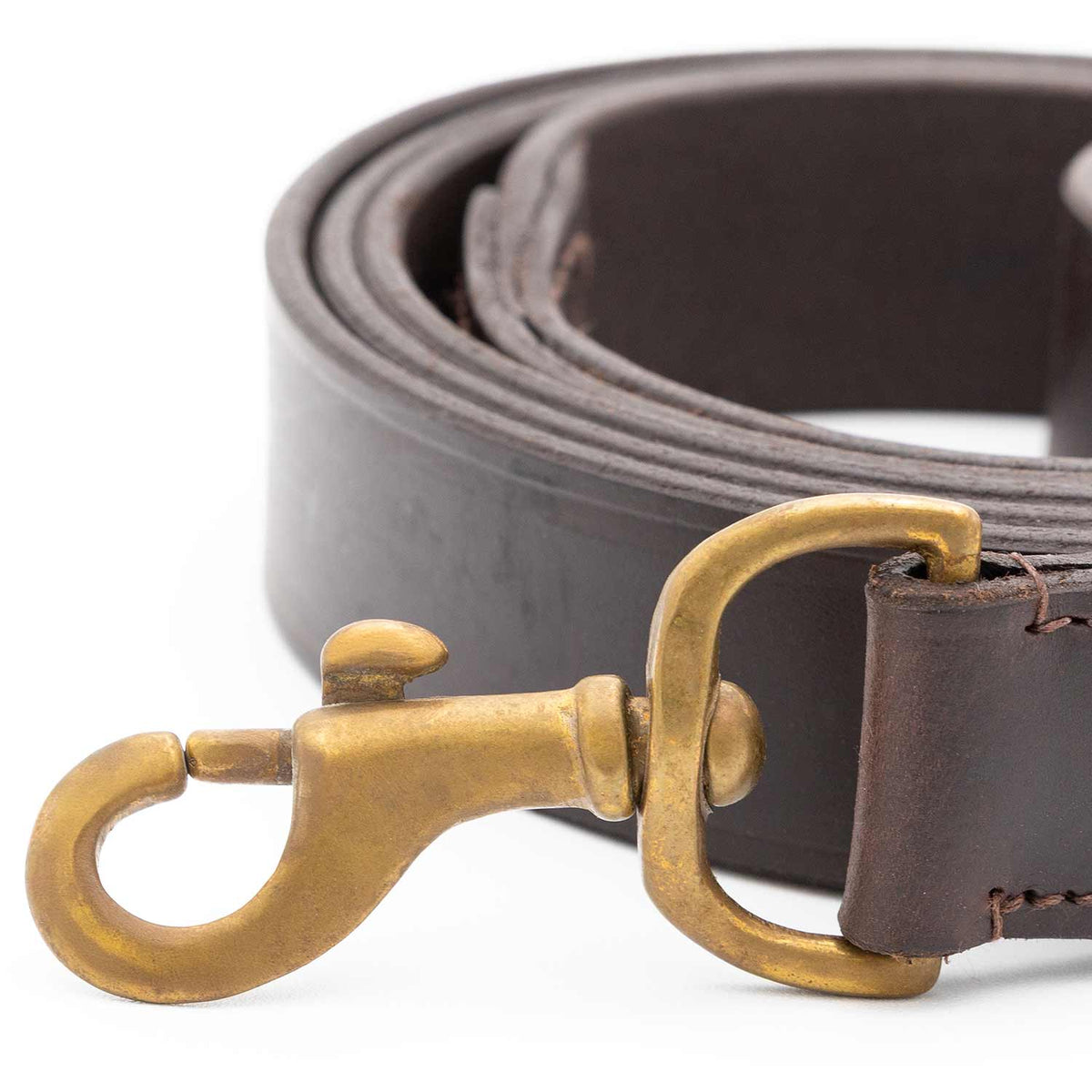 Brass swivel snap and D-ring on the Jeffers leather leash, close-up against the coiled leather