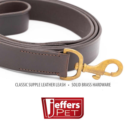 Close-up of the Jeffers leather leash clip end showing the stitched leather and solid brass hardware