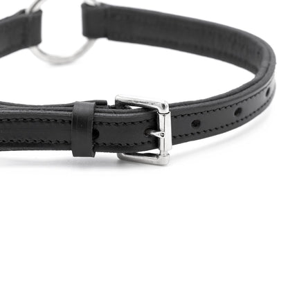 Jeffers padded black leather dog collar, close-up of the nickel-plated buckle, leather keeper and adjustment holes