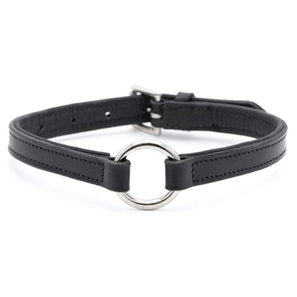 Jeffers padded black leather dog collar, front view with the nickel-plated center O-ring and the buckle at the back