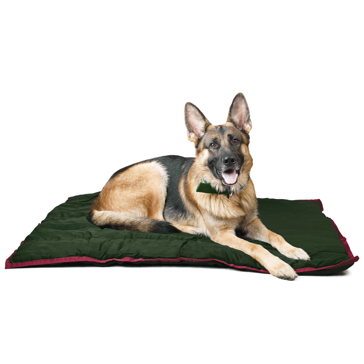 German shepherd lying on a dark green Jeffers washable crate pad with wine red trim