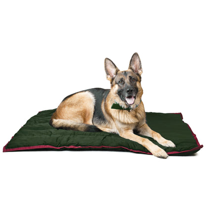 German shepherd lying on a dark green Jeffers washable crate pad with wine red trim