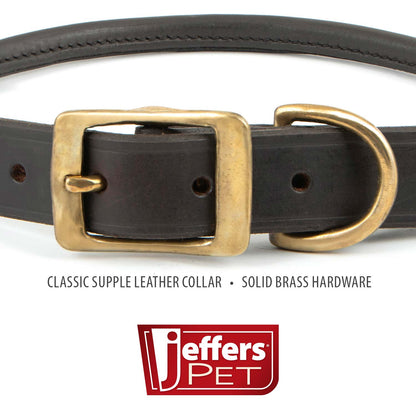 Jeffers rolled leather dog collar, buckle and D-ring close-up captioned supple leather and solid brass hardware