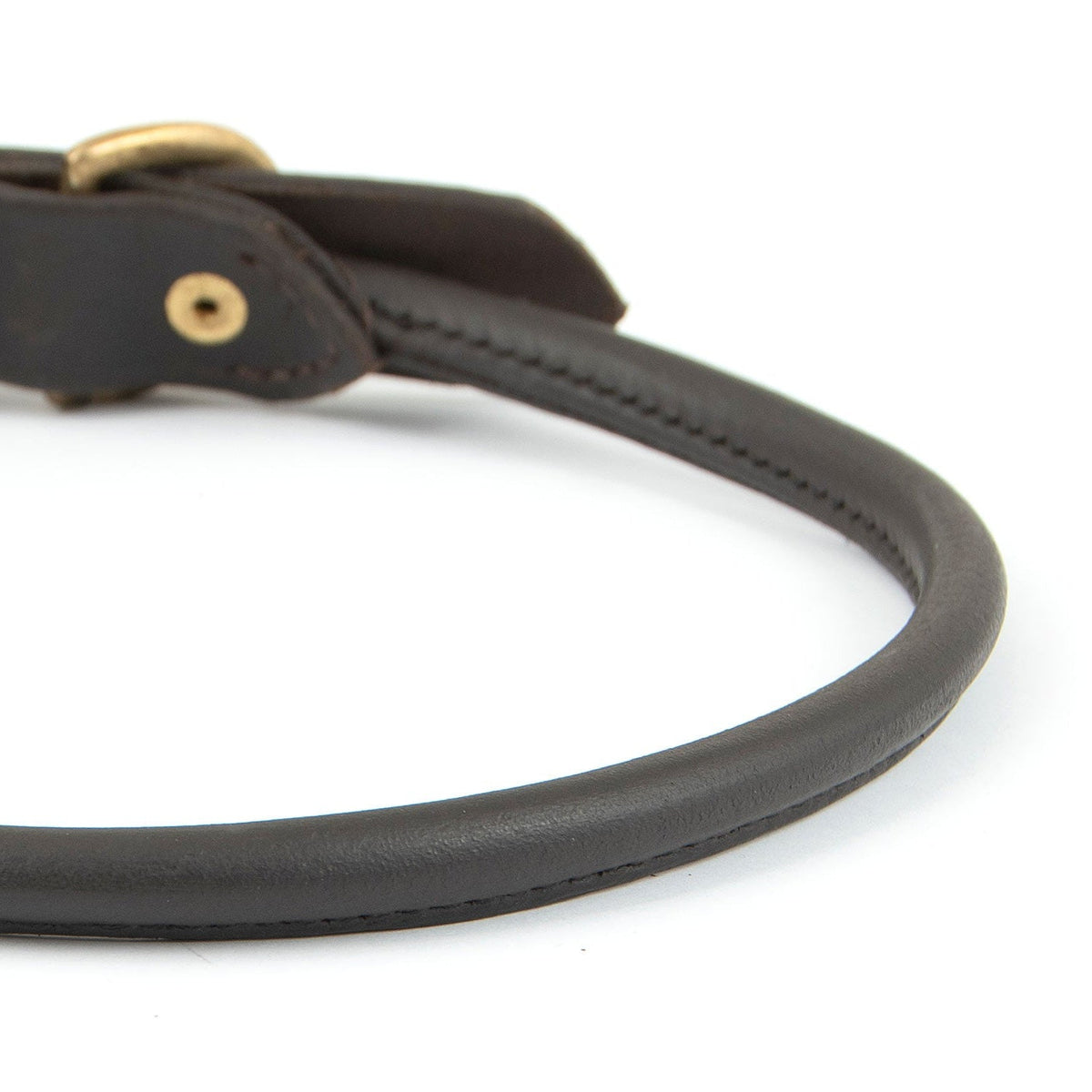 Jeffers rolled leather dog collar, close-up of the round rolled leather and stitched seam beside a brass rivet
