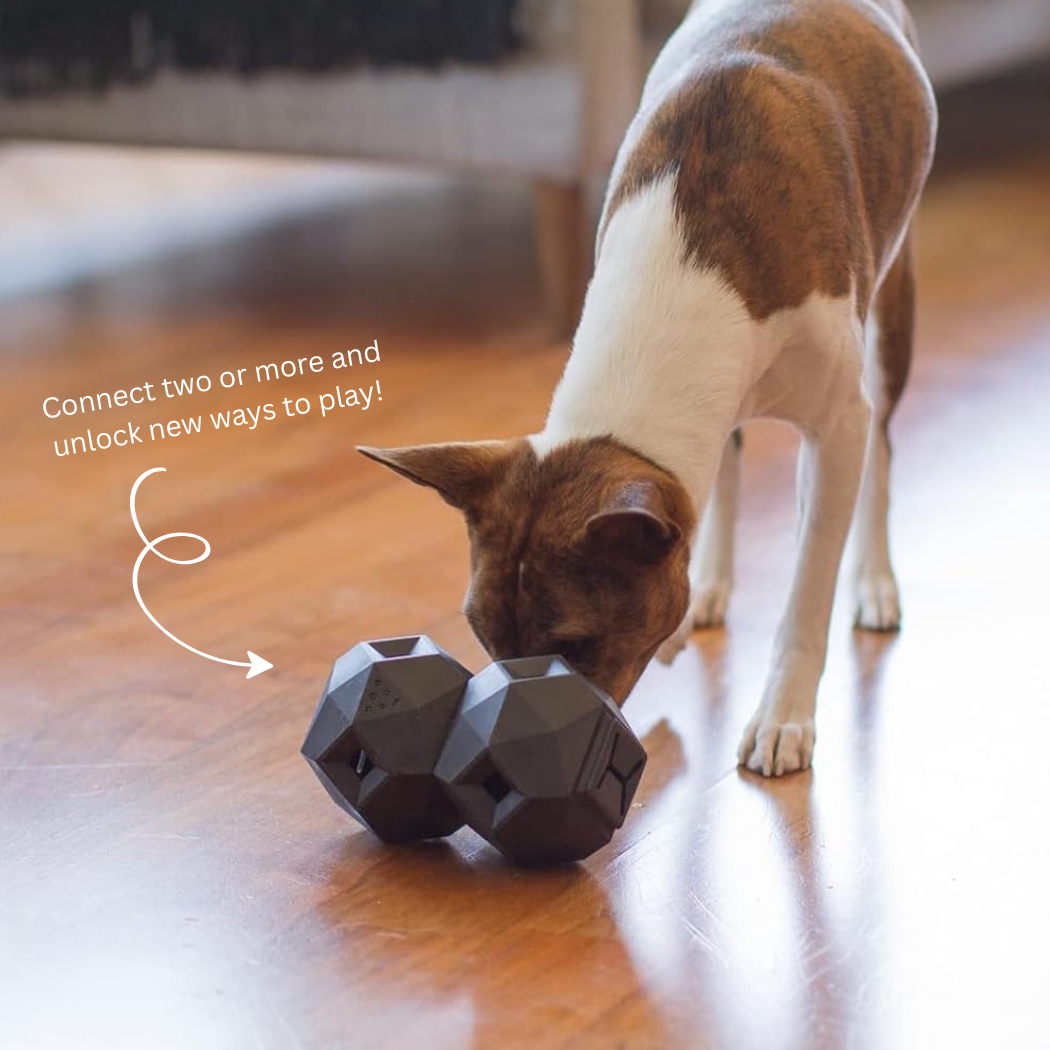 Up Dog Odin Treat Puzzle Balls in slate grey, two linked as a brown and white dog noses them on a wood floor