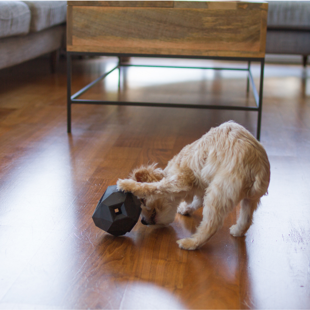 Up Dog Odin Treat Puzzle Ball in slate grey, a fluffy cream dog nosing it along a wood floor by a coffee table