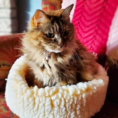 HuggleSnuggler fleece bed with a long-haired tabby cat sitting up inside, in front of a pink knit throw