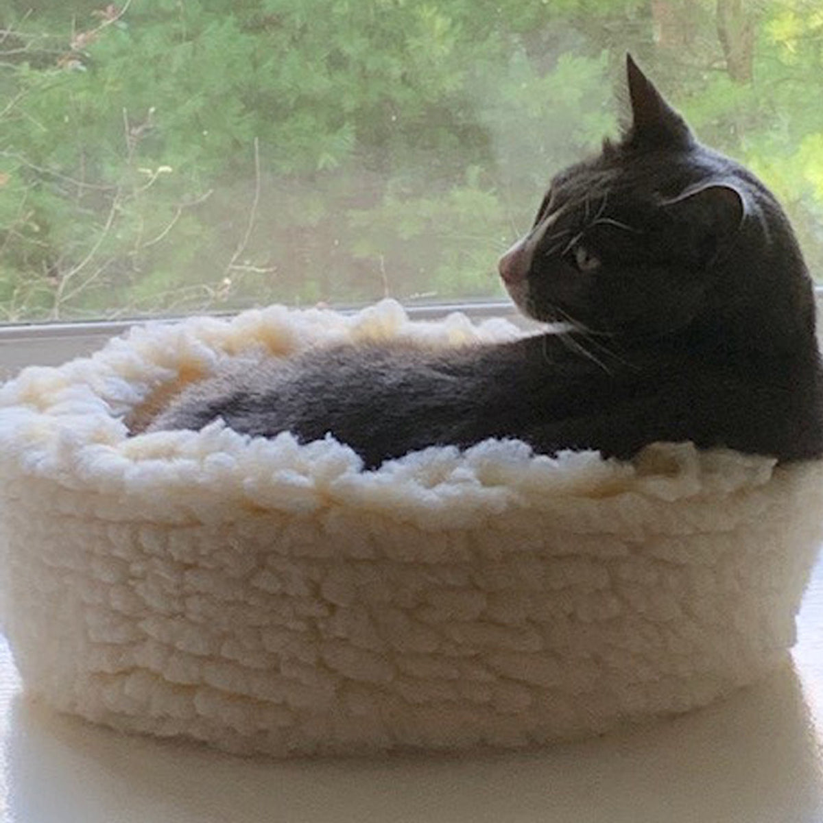 HuggleSnuggler fleece bed by a window, a gray and white cat lying inside and looking back over its shoulder