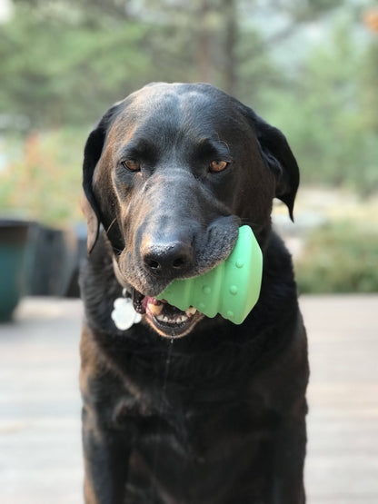 Christmas Tree treat toy held in the mouth of a gray-muzzled black dog sitting on a deck outdoors