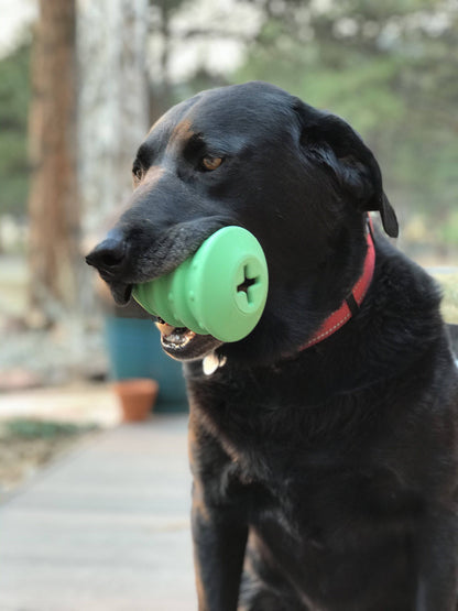 Christmas Tree treat toy held sideways in a black dog's mouth, the cross-cut base facing out