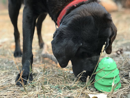 Christmas Tree treat toy standing on dry pine needles as a black dog in a red collar sniffs it