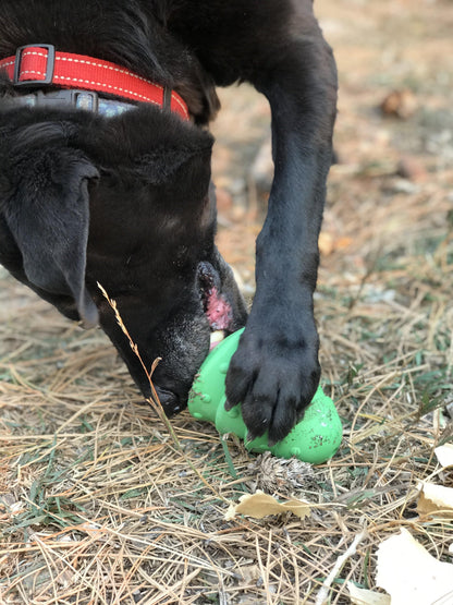 Christmas Tree treat toy pinned under a black dog's paw on dry grass as the dog chews at it