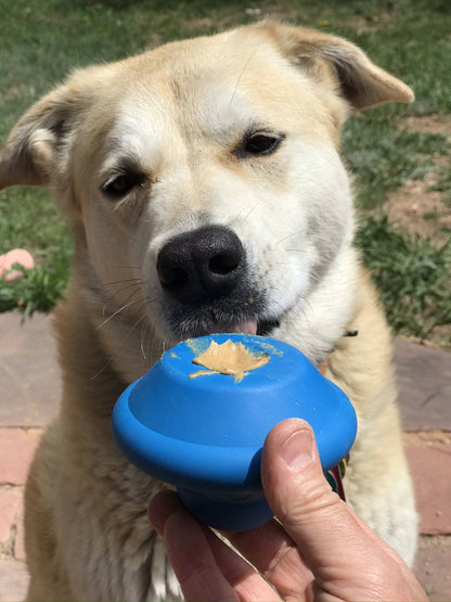 Flying Saucer treat dispenser held out upside down to a cream-colored dog licking peanut butter off the wide base