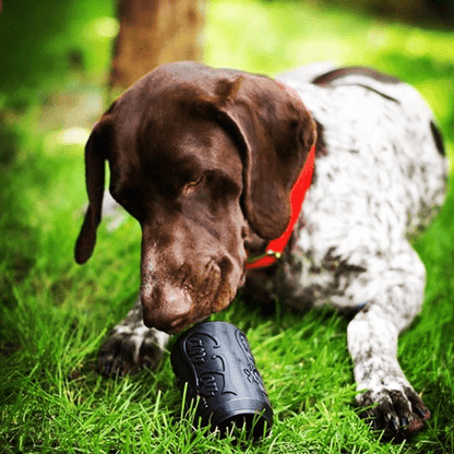 German shorthaired pointer lying in the grass with its nose on a black SodaPup Magnum Can Toy
