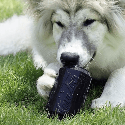 Fluffy white and gray dog lying in the grass chewing a black SodaPup Magnum Can Toy