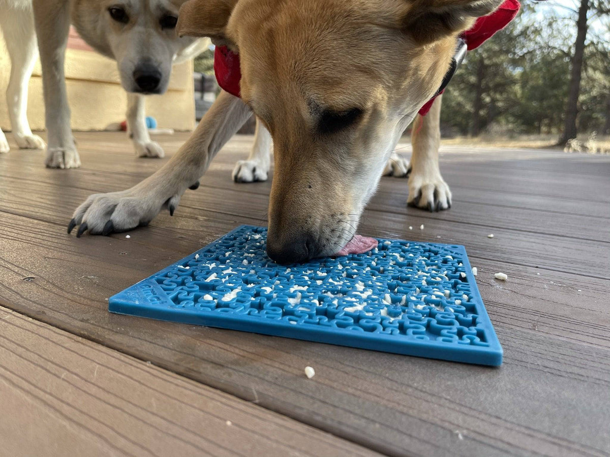 Jigsaw eMat lick mat in blue on a wooden deck, a tan dog licking it while a second dog watches